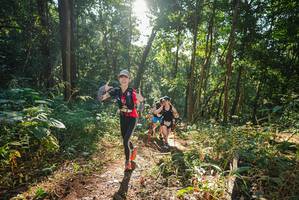 BIB: 
                            <button type="button" onclick="openModal(22548821)" class="btn btn-primary btn-sm float-right btn-popup" data-toggle="modal" data-target=".modal-high-quality">
                        <i class="fas fa-shopping-cart"></i> Add to Cart
                    </button>
                                            <button type="button" onclick="isThisMe(22548821, true)" class="btn btn-success btn-sm float-right btn-popup btn-isme hidden" data-toggle="tooltip" data-placement="bottom" title="นี่คือรูปของคุณใช่ไหม คลิกที่นี่เพื่อเอาเข้าอัลบั้ม">
                        <i class="fas fa-plus"></i> Add to album
                    </button>
                    <button type="button" onclick="isThisMe(22548821, false)" class="btn btn-warning btn-sm float-right btn-popup btn-isnotme hidden">
                        <i class="fas fa-ban"></i> Remove from album
                    </button>